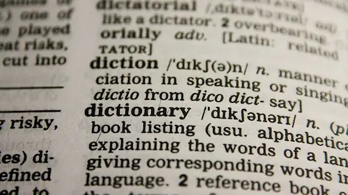Recherche terminologique et dictionnaires spécialisés pour une traduction de haute précision.