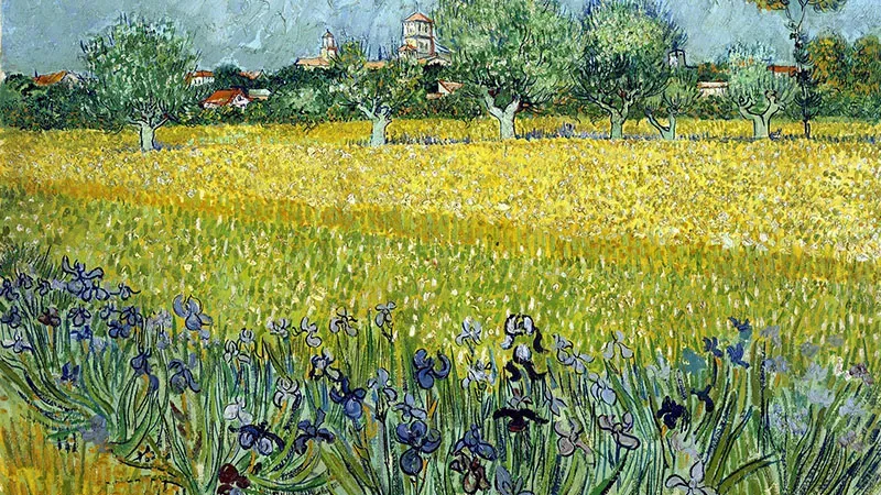 Illustration de l'inspiration artistique et de la lumière unique de la Provence, chère à Van Gogh.